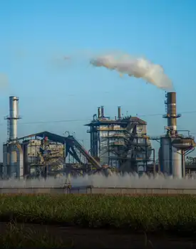 Sugar Industries